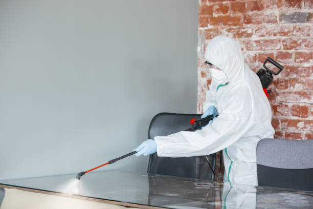 Best Environmental Consulting for Mold Prevention  in Plains, MT